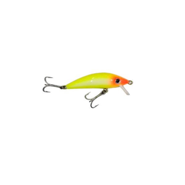 Isca Artificial Mathias Omi Cor 01