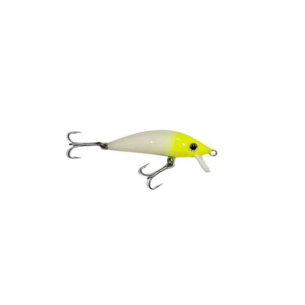 Isca Artificial Mathias Omi Cor 04