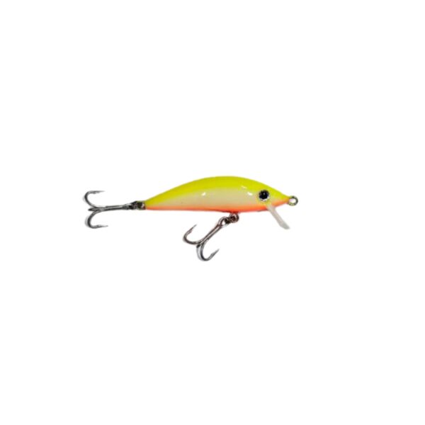 Isca Artificial Mathias Omi Cor 22