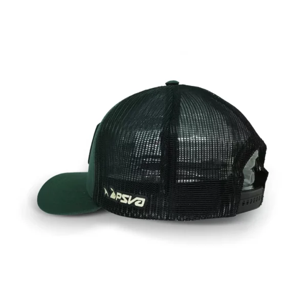 Bone Premium 22 presa viva